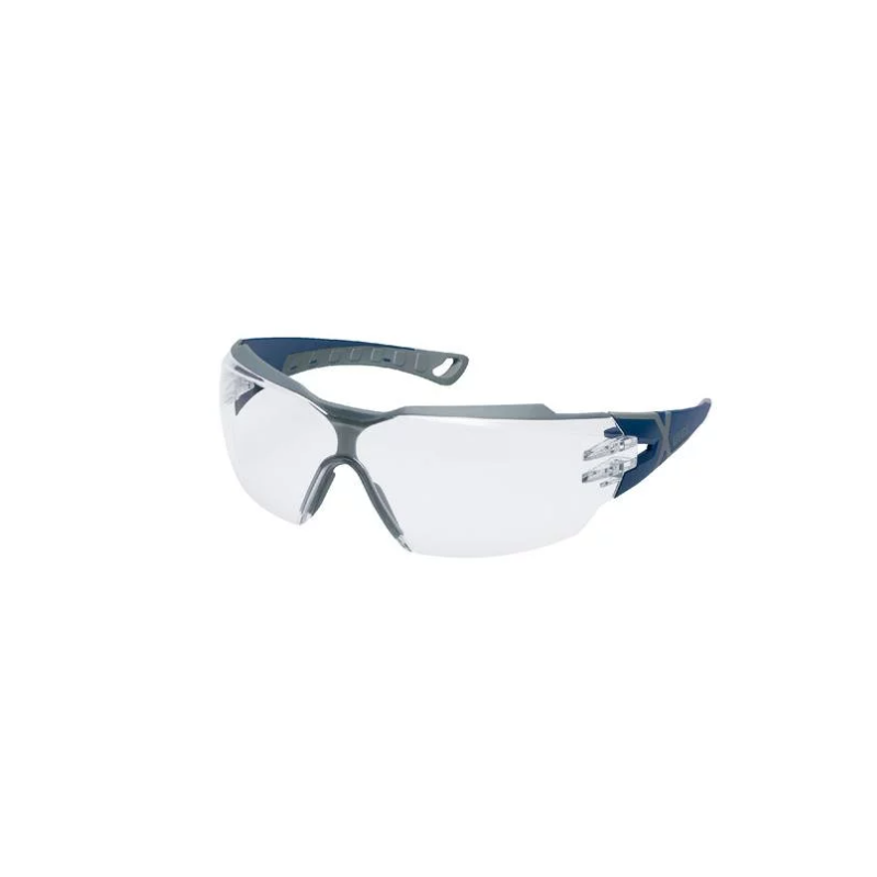 Lunettes de protection contre les poussières et liquides UVEX 9198257 Bleu/gris