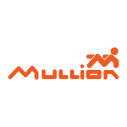 MULLION