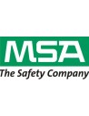 MSA